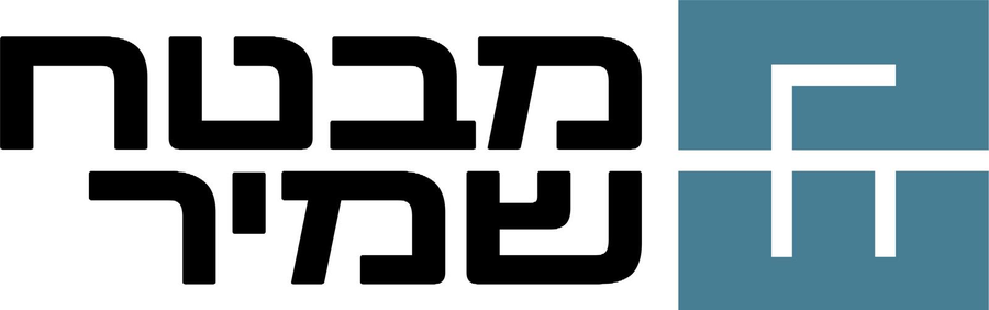 מבטח־שמיר אחזקות